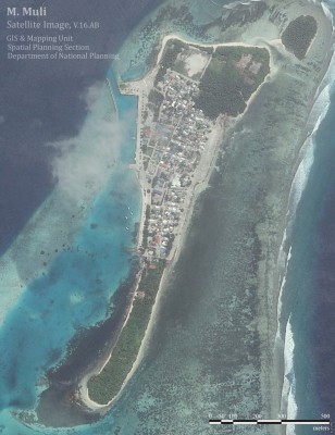 މުލީގައި މީހަކު ދަންޖެހިގެން މަރު ވެއްޖެ