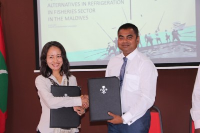 މަސް ފިނިކުރުމުގައި ތިމާވެއްޓާ ރައްޓެހި ގޭހެއް ބޭނުން ކުރުމަށް ޕްރޮޖެކްޓެއް ހިންގަނީ