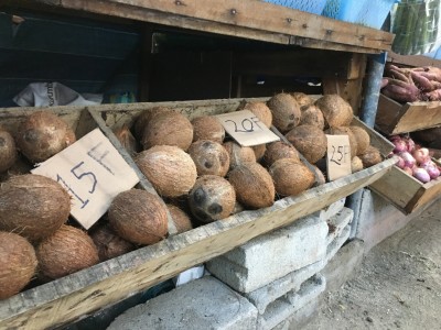މާރުކޭޓުގައި ކާއްޓެއްގެ އަގު 116 ޕަސެންޓު މައްޗަށް!
