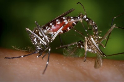 މަދިރި ލޭ ނުބޯނެ ގޮތެއް ހޯދިއްޖެ