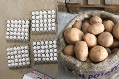 އެސްޓީއޯއިން ބިހާއި އަލުވި މާލޭގައި ހޯލްސޭލްކުރުން މަޑުޖައްސާލައިފި