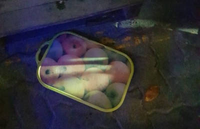 ގެއެއްގެ ނުވަ ވަނަ ބުރިން ވެއްޓުނު ކަޓިން ބޯޑަކުން ޖެހި މީހެއްގެ ބޯ ފަޅައިގެން ހިނގައްޖެ