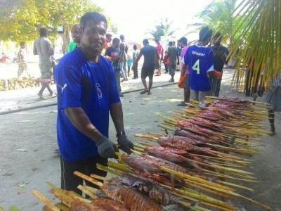 އުލިގަމު މަސްފިހުމުގެ ބޮޑު ހަރަކާތް އަންނަ ހޮނިހިރުގައި، މިފަހަރު 400 އެއްހާ މަސް ފިހާނެ