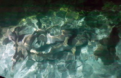 މަސްވެރިންގެ ޝަކުވާއަށް ވުރެ މިޔަރުގެ ފައިދާ ބޮޑު!