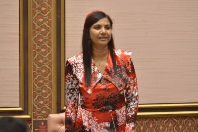 ކުރިއަށް އޮތް ފަސް އަހަރަށް ކަނޑައެޅި މަތީ ތައުލީމުގެ މާސްޓާ ޕްލޭން އިފްތިތާހުކޮށްފި