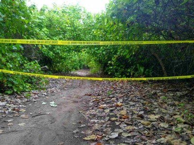 ދިގުރަށުން ގޮވާ ޒާތުގެ އެއްޗެއް ފެނިގެން ސިފައިން ހަރަކާތްތެރިވަނީ