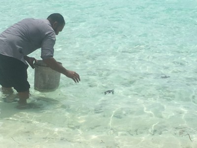 މާކުރަތު ގެއެއްގައި ފޮރުވައިގެން ގެންގުޅުނު ވެލާތަކެއް ހޯދައި ދޫކޮށްލައިފި