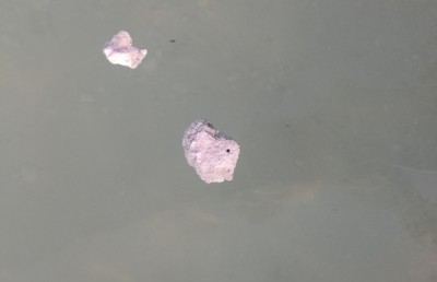 ރަސްފަންނުގައި ނަޖިސް ދައުރުވާތީ އެ ސަރަހައްދަށް މޫދަށް އެރުން މަނާކޮށްފި