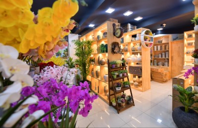 ޕްރައިމް ޕްލަސް: ގޭތެރެ ޒީނަތްތެރި ކުރާ ސާމާނަށް ހާއްސަ