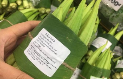 ވިއެޓްނާމްގައި ޕްލާސްޓިކް ކޮތަޅުގެ ބަދަލުގައި ކެޔޮފަތް