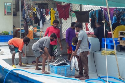 މަސްދޯނި ފަހަރުގައި ގަނޑުފެން އުފައްދަން ސަރުކާރުން އަންނަ ހަފްތާގައި ލޯނު ދެނީ