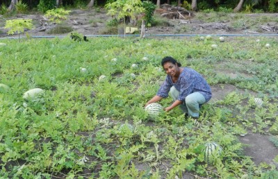 ހިތުހުރި ގޮތަކަށް ޕެސްޓިސައިޑް ބޭނުންކުރުމުގެ އަގު