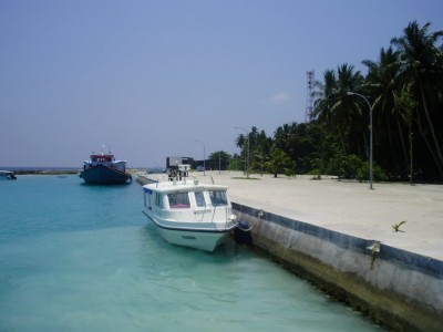 އެން ދަމަން އުޅުނު މީހަކު ދޯންޏެއްގެ ބުރަފަތީގައި ޖެހި އަނިޔާވެއްޖެ