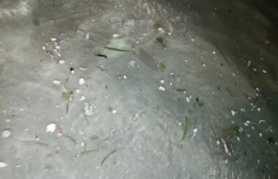 ރަސްފަންނު މޫދު ހުޅުވާލައިފި