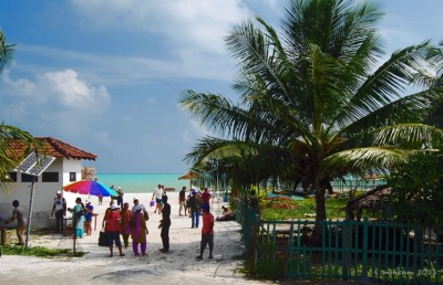 މަލިކުގައި ދިވެހި ފިރިހެނުންގެ ޑީއެންއޭ ގިނަ