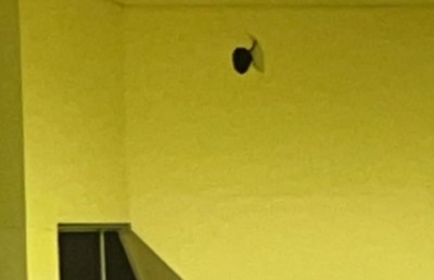 ބޯޅައިން ޖަހައި ސޯޝަލް ސެންޓަރުގެ ސީލިންގު ފަޅާލި ކުޅުންތެރިޔާ ހަ މަހަށް ސަސްޕެންޑް