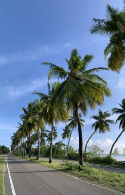 އައްޑޫގެ ނަލަ "ރުއްފަށާ" ކަނޑާލުމުން އެންމެން ރުޅިގަދަވެއްޖެ