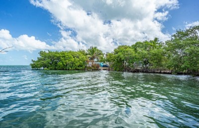 ފަޅުރަށެއް ގަނެ އަމިއްލަ ގައުމެއް އުފައްދަނީ