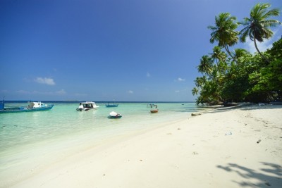 ރުއްތަކެއް ކެނޑި މައްސަލައެއްގައި ރިނބުދޫ ކައުންސިލު 255،000 ރުފިޔާއިން ޖޫރިމަނާކޮށްފި