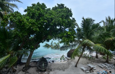 ރޯދަމަހާ ދިމާކޮށް ވެލިނެގުން ގިނަވުމުން އީޕީއޭގެ އިންޒާރެއް