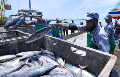މަސްވެރިންނަށް އޮތް ހައްލަކީ މިއީ: ނުކިރެންޏާ ނުބާނާ!
