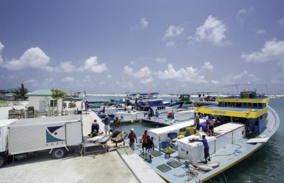 ފުލް ކެޕޭސިޓީގައި މިދަނީ މަސް ގަންނަމުން: އެންސިސް