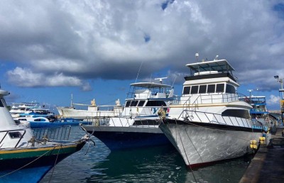 900 ޓަނު މަސް ކިރުވަން 63 ދޯނި ކިއޫގައި، ކްލިއާ ވާނީ އާދިއްތަދުވަހު