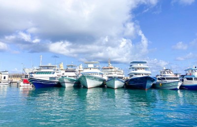 ކޫއްޑޫގައި މަސްވެރިން ހަޅުތާލުކުރަނީ، މަހެއް ނުކިރާ!