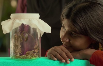 ދިރާގު ރޯދަ ވީޑިއޯގައި ކޮކާލެއްގެ ހަޔާތުން ފުރިހަމަ މެސެޖެއް