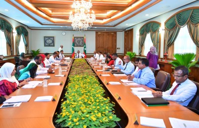އެމްޑީޕީގެ ކޮމިޓީތަކަށް ވަޒީރުން ހާޒިރުކުރުމަކީ ގޯހެއް ނޫން: ތަރުޖަމާން