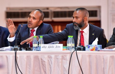 ޑީޑީގެ ތަހުގީގު: ބޮޮޑު ތުހުމަތުތަކެއް، ހޫނު ބަހުސްތަކެއް!