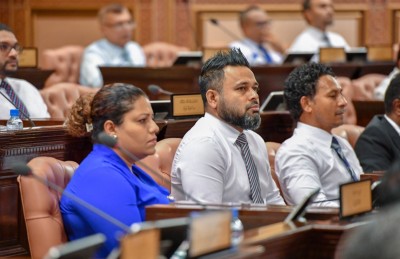 ގެސްޓްހައުސް ވިޔަފާރިވެރިންނަށް ގެރެންޓީ ދޭން ހުށަހެޅި ގަރާރު މަޖިލިހުން ބޭރުކޮށްލައިފި