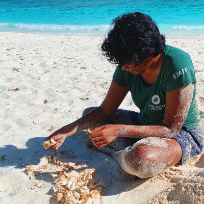 މޫދަށް އޮތް ބިރު ކަނޑާލައި، ވެލާތަކުގެ ހިމާޔަތުގައި