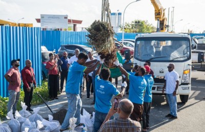 މާލޭގައި 200 ކަދުރު ރުއް އިންދުމުގެ ޕްރޮގްރާމެއް ފަށައިފި