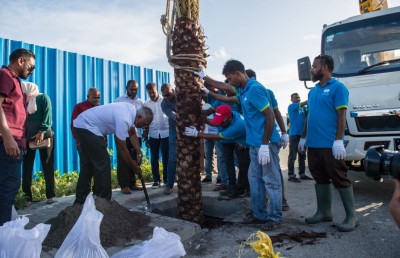 މާލޭގައި 200 ކަދުރު ރުއް އިންދުމުގެ ޕްރޮގްރާމެއް ފަށައިފި