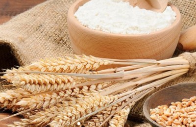 ވެންޓިލޭޓަރު ހޯދަން 34 މިލިއަން ދީގެން އަޅައިވެސް ނުލައި، އެގްޒެކިއުޓާސް ވިޔަފާރި ފުޅާކުރަނީ!