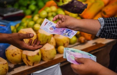 ކޮއްކޮގެ ފިހާރައިން 180ރ. ވަގަށް ނެގުމުން 14،000ރ. އިން ޖޫރިމަނާ