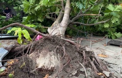 ކޮޅިގަނޑެއްގައި ދަރަނބޫދުއަށް ބޮޑެތި ގެއްލުންތަކެއް ވެއްޖެ