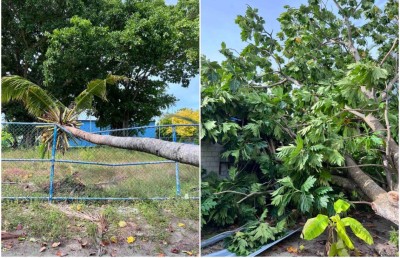 ކޮޅިގަނޑެއްގައި ދަރަނބޫދުއަށް ބޮޑެތި ގެއްލުންތަކެއް ވެއްޖެ