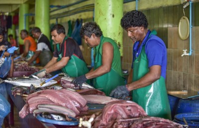 މަސްވެރިކަމުގެ ބިލުގައި ބޮޑެތި ކަންބޮޑުވުންތަކެއް!