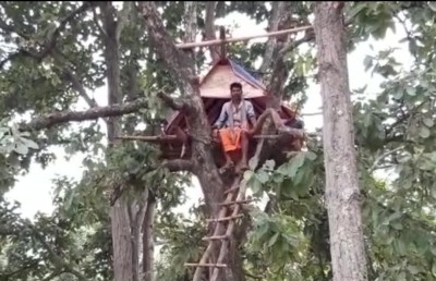 އެތްތަކެއް ގެ ހަލާކުކޮށްލުމުން ދިރިއުޅުން ގަހެއްގައި