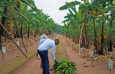 މޫސުމަށް އަންނަ ބަދަލުތަކުން ދޮންކެޔޮ ހުސްވެދާނެ