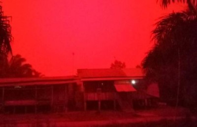 މާސްއެއް ނޫން: އިންޑޮނީޝިއާގެ ޕްރޮވިންސެއްގެ ޖައްވު ރަތްވެއްޖެ