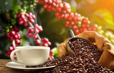 ކޮފީ ލިބުން ދަތިވެ އަގު ބޮޑުވެދާނެ