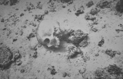 ލިޔެކިޔުން ނެތް ބިދޭސީން: އެއީ ލުތުފަރުތަ؟ މަރުވީ ކާކު؟