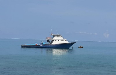 މަލިކު ސަރަހައްދުން ރާއްޖޭގެ މަސް ދޯންޏެއް ހިފަހައްޓައިފި