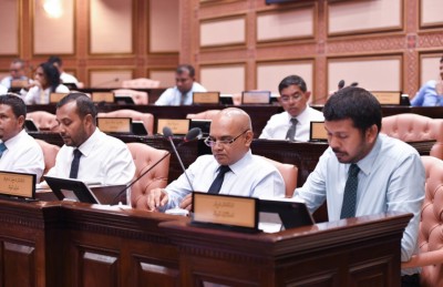 އަނިޔާކޮށް ނައްތާލާނެ ކަމުގެ އިންޒާރު ދީގެން ނުވާނެ: ނަޝީދު