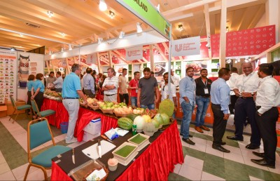 ހޮޓެލް އޭޝިއާ: ހޮސްޕިޓަލިޓީ ދާއިރާގެ ހުރިހާ އުފެއްދުމެއް