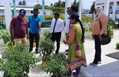 އެމްއައި ކޮލެޖުން ގާޑެނިން ކޯހެއް ފަށައިފި