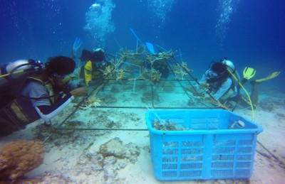 ތޫފާނެއްގައި ފަރަށް ގެއްލުން ވެފައި ވާތީ، ރަށު ޒުވާނުން ނުކުމެ މުރަކަ އިންދައިފި